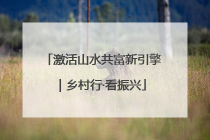 激活山水共富新引擎｜乡村行·看振兴