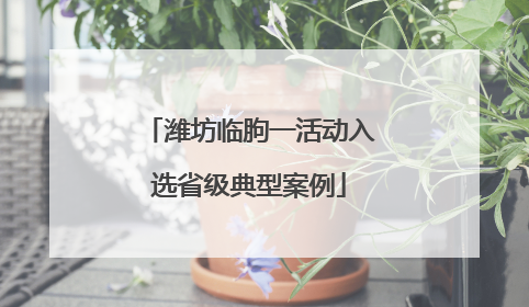 潍坊临朐一活动入选省级典型案例