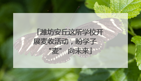 潍坊安丘这所学校开展麦收活动，盼学子 “麦” 向未来