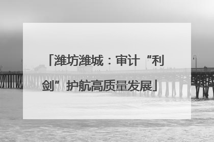 潍坊潍城：审计“利剑”护航高质量发展