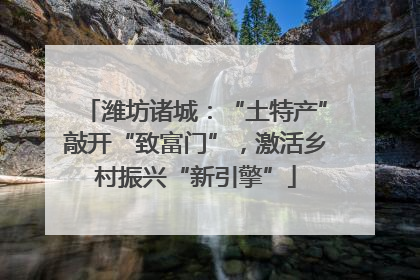 潍坊诸城：“土特产”敲开“致富门”，激活乡村振兴“新引擎”