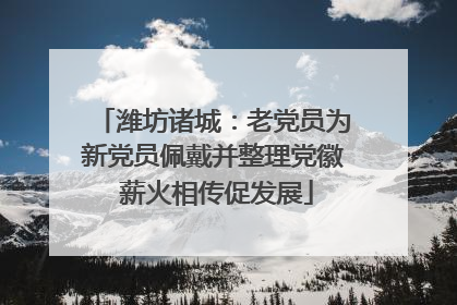 潍坊诸城：老党员为新党员佩戴并整理党徽 薪火相传促发展