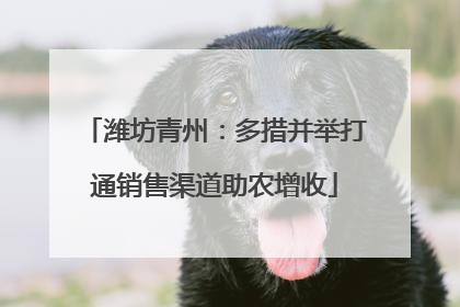 潍坊青州：多措并举打通销售渠道助农增收