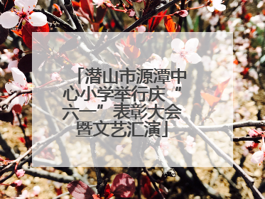 潜山市源潭中心小学举行庆“六一”表彰大会暨文艺汇演