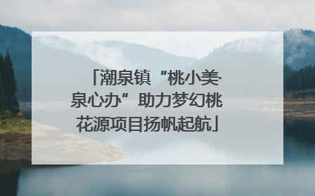 潮泉镇“桃小美·泉心办”助力梦幻桃花源项目扬帆起航