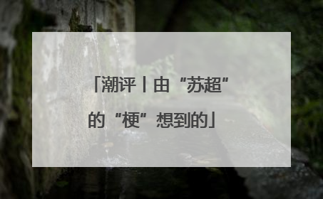 潮评丨由“苏超”的“梗”想到的