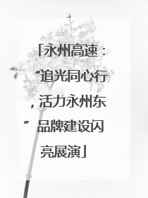 永州高速：“追光同心行，活力永州东”品牌建设闪亮展演