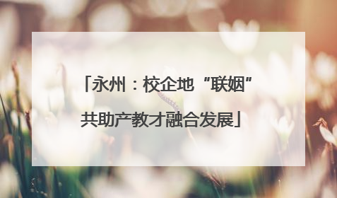 永州：校企地“联姻” 共助产教才融合发展
