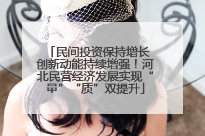 民间投资保持增长 创新动能持续增强！河北民营经济发展实现“量”“质”双提升