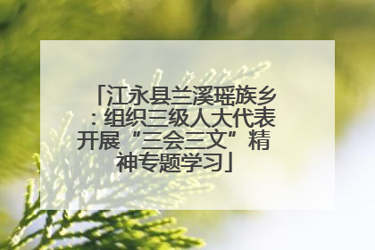 江永县兰溪瑶族乡：组织三级人大代表开展“三会三文”精神专题学习