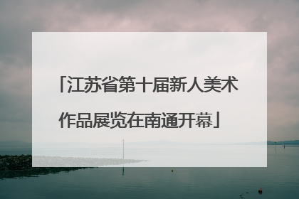 江苏省第十届新人美术作品展览在南通开幕