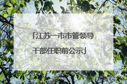 江苏一市市管领导干部任职前公示