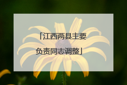 江西两县主要负责同志调整