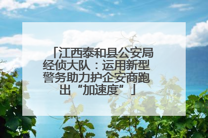江西泰和县公安局经侦大队：运用新型警务助力护企安商跑出“加速度”
