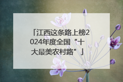 江西这条路上榜2024年度全国“十大最美农村路”