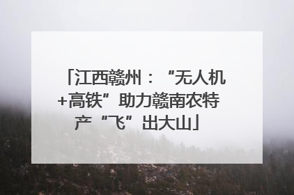 江西赣州：“无人机+高铁”助力赣南农特产“飞”出大山