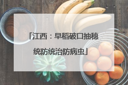 江西：早稻破口抽穗 统防统治防病虫
