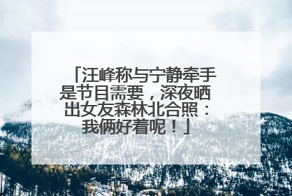 汪峰称与宁静牵手是节目需要，深夜晒出女友森林北合照：我俩好着呢！