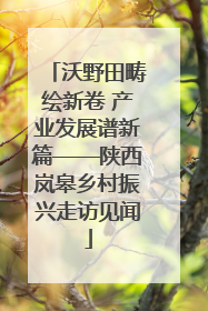 沃野田畴绘新卷 产业发展谱新篇——陕西岚皋乡村振兴走访见闻