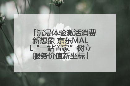 沉浸体验激活消费新想象 京东MALL“一站置家”树立服务价值新坐标