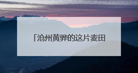 沧州黄骅的这片麦田里传来喜讯：一水未浇的旱碱麦丰收了
