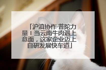 沪滇协作·普陀力量〡当云南牛肉遇上意面，这家企业迈上自研发展快车道