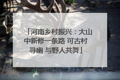 河南乡村振兴：大山中新修一条路 可古村寻幽 与野人共舞