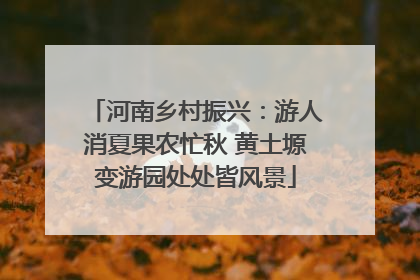 河南乡村振兴：游人消夏果农忙秋 黄土塬变游园处处皆风景