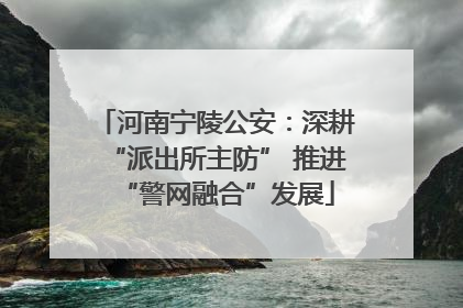 河南宁陵公安：深耕“派出所主防” 推进“警网融合”发展