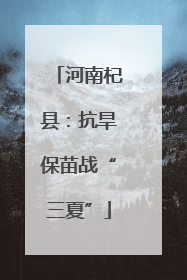 河南杞县：抗旱保苗战“三夏”