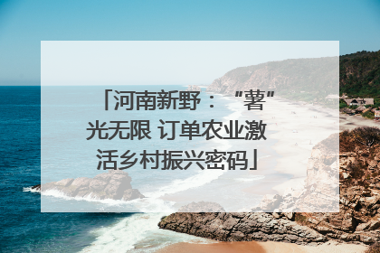河南新野：“薯”光无限 订单农业激活乡村振兴密码