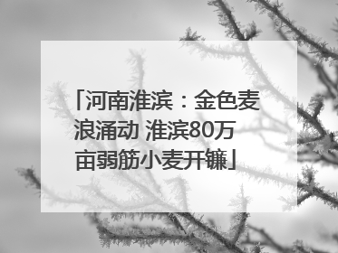 河南淮滨：金色麦浪涌动 淮滨80万亩弱筋小麦开镰