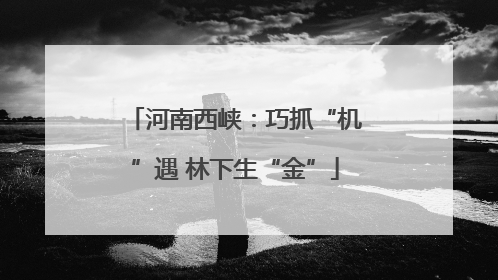 河南西峡：巧抓“机”遇 林下生“金”