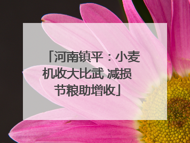 河南镇平：小麦机收大比武 减损节粮助增收