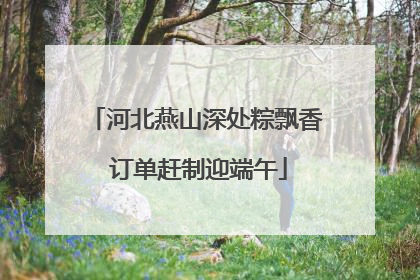 河北燕山深处粽飘香 订单赶制迎端午