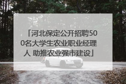 河北保定公开招聘500名大学生农业职业经理人 助推农业强市建设