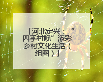 河北定兴：“四季村晚”添彩乡村文化生活（组图）