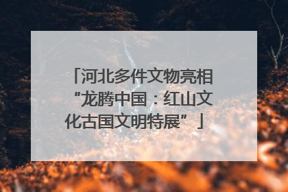 河北多件文物亮相“龙腾中国：红山文化古国文明特展”