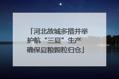 河北故城多措并举护航“三夏”生产 确保夏粮颗粒归仓