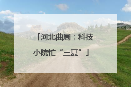 河北曲周：科技小院忙“三夏”