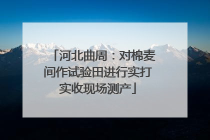 河北曲周：对棉麦间作试验田进行实打实收现场测产