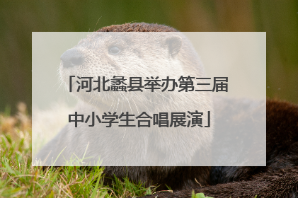 河北蠡县举办第三届中小学生合唱展演