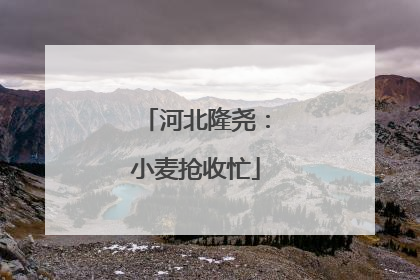 河北隆尧：小麦抢收忙