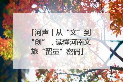 河声丨从“文”到“创”，读懂河南文旅“留量”密码
