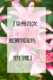 泉州首次观测到深色型白鹭