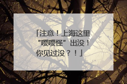 注意！上海这里“嘤嘤怪”出没！你见过没？！