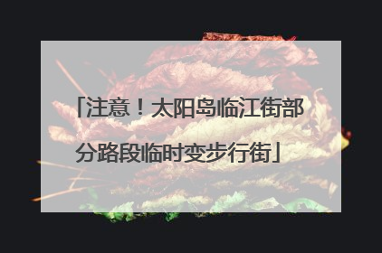 注意！太阳岛临江街部分路段临时变步行街