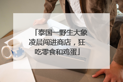 泰国一野生大象凌晨闯进商店，狂吃零食和鸡蛋