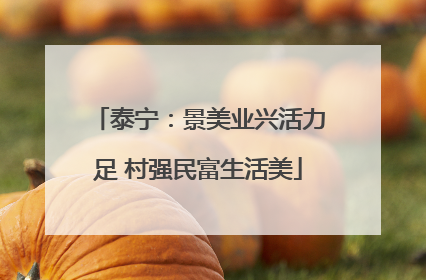 泰宁：景美业兴活力足 村强民富生活美