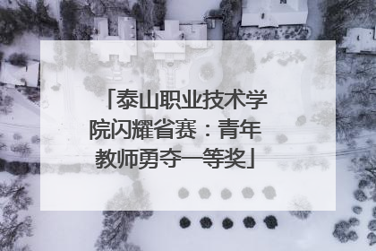 泰山职业技术学院闪耀省赛：青年教师勇夺一等奖
